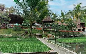 Padi Heritage Hotel